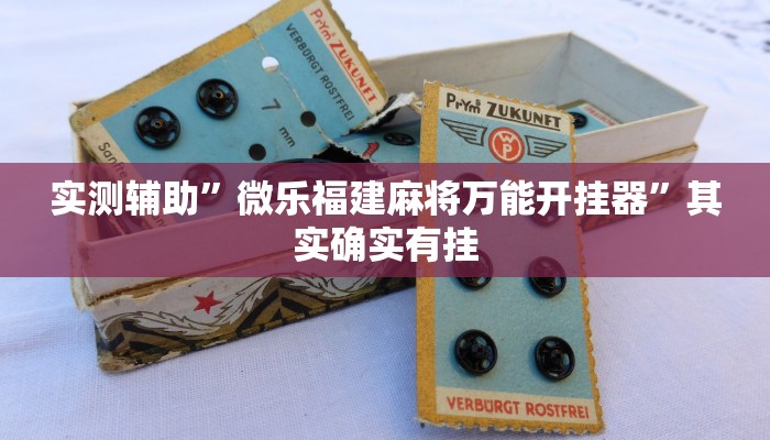 教程辅助!“wepoker德州挂透视辅助挂软件下载”其实确实有挂