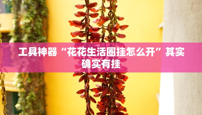 教程辅助!“鼎盛棋牌有透视挂吗”原来真可以开挂