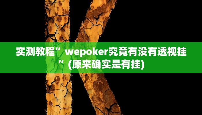 教程辅助!“德州WepoKer透视作弊挂教程”原来真可以开挂