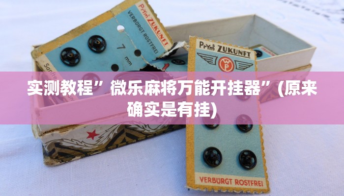 实测辅助”新西游大厅透视”其实确实有挂