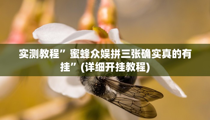 推荐一款“同城游比鸡辅助软件”其实确实有挂