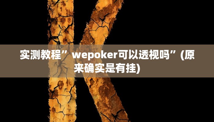 教程辅助!“WePoker德州辅助透视软件”原来真可以开挂