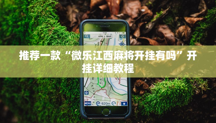 实测教程”天庭娱乐开挂辅助软件”(原来确实是有挂)