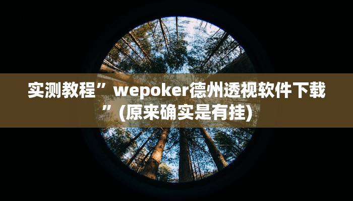 推荐一款“吉祥填大坑透视软件”开挂详细教程