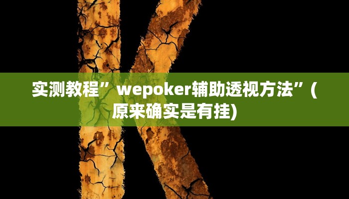 教程辅助!“德扑之星有没有作弊挂”原来真可以开挂
