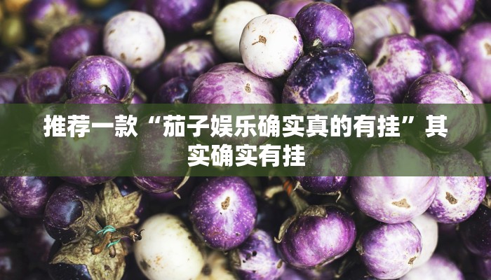 实测教程”poker辅助怎么开挂”(原来确实是有挂)