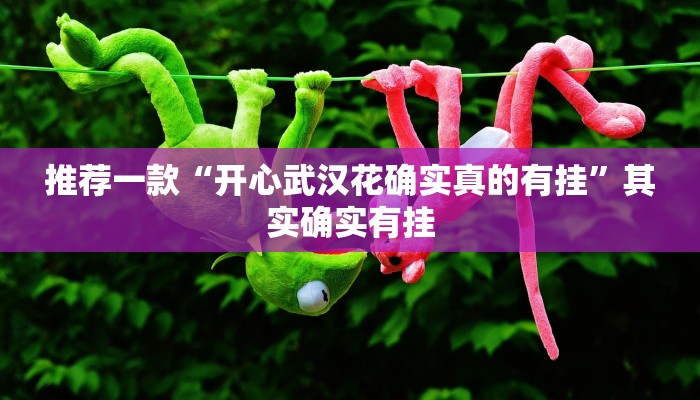 实测辅助”边锋绍兴麻将的挂怎么买”其实确实有挂