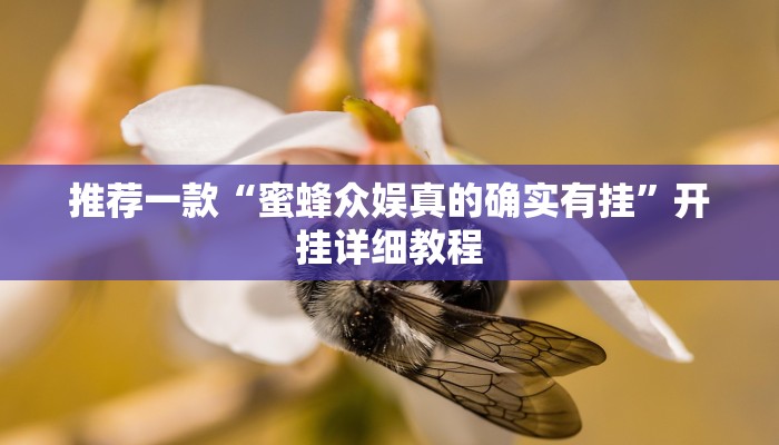 推荐一款“瓜瓜丰城棋牌挂怎么安装”其实确实有挂