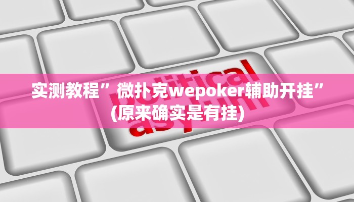 教程辅助!“德州werplan作弊辅助透视”原来真可以开挂
