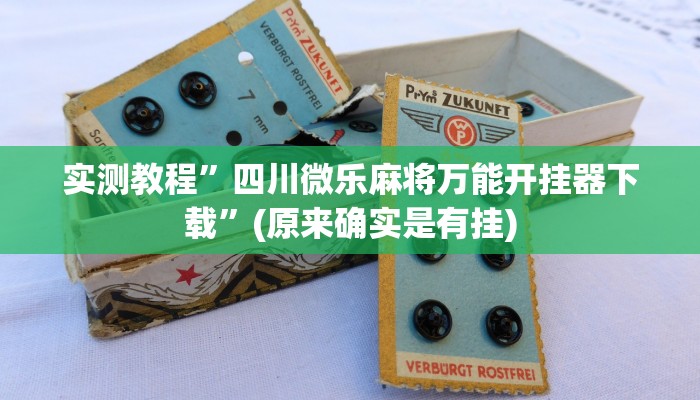 实测辅助”科乐填大坑透视软件”开挂详细教程