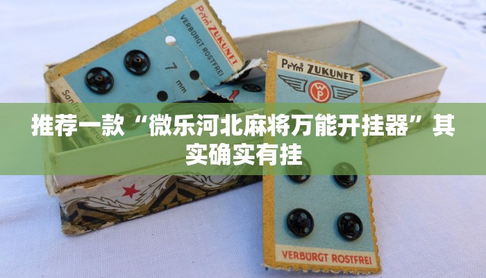 实测教程”山西扣点点麻将万能开挂器”(原来确实是有挂)