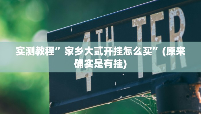 实测辅助”德扑之星作弊挂透视辅助软件”原来真可以开挂