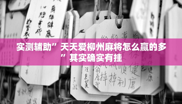 教程辅助!“HHpoker透视底牌软件”其实确实有挂