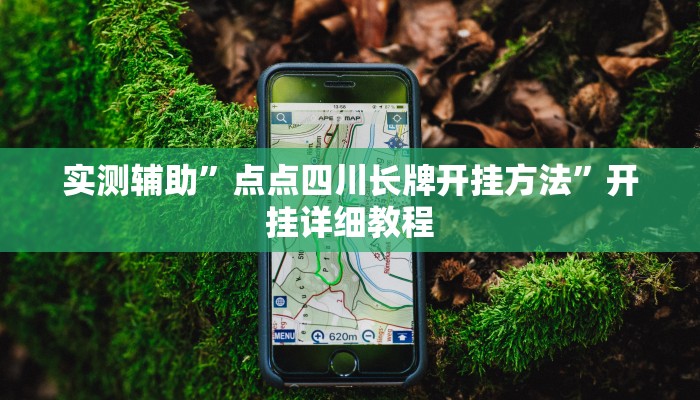 教程辅助!“德扑之星是不是有辅助挂”其实确实有挂