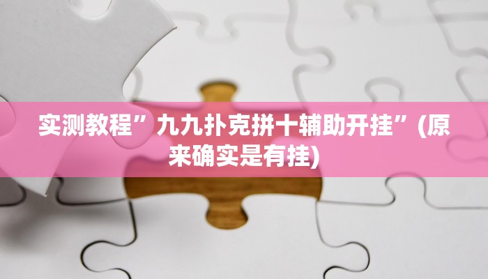 推荐一款“中至武宁双扣开挂神器”原来真可以开挂