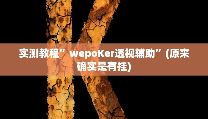 教程辅助!“杭州都莱开挂辅助器”原来真可以开挂