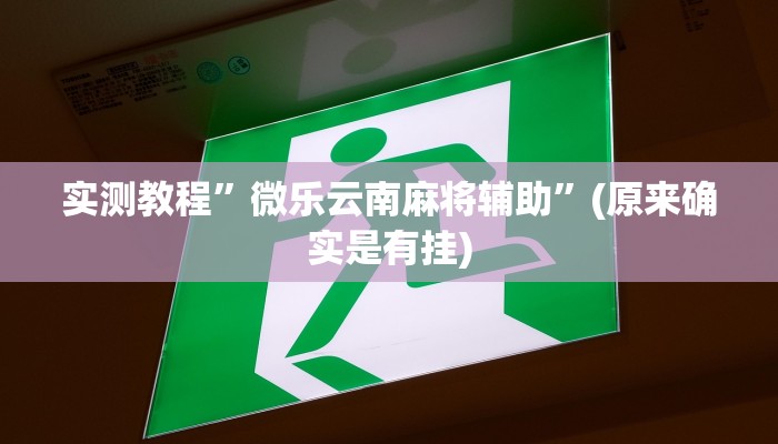 实测教程”山西扣点点麻将挂怎么安装”(原来确实是有挂)