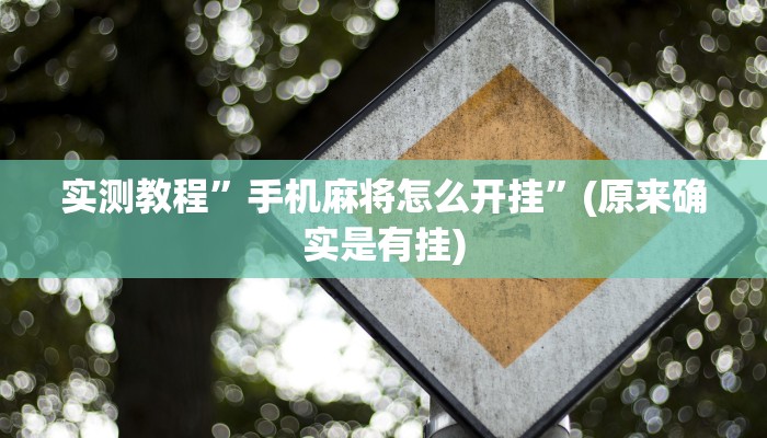 实测辅助”决胜麻将开挂神器”原来真可以开挂