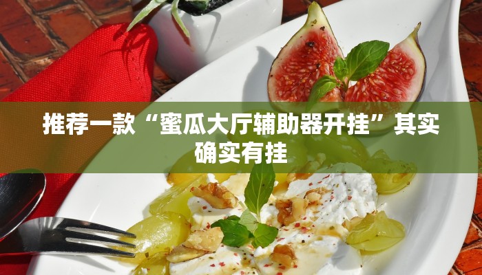教程辅助!“巢湖麻将助赢神器”其实确实有挂