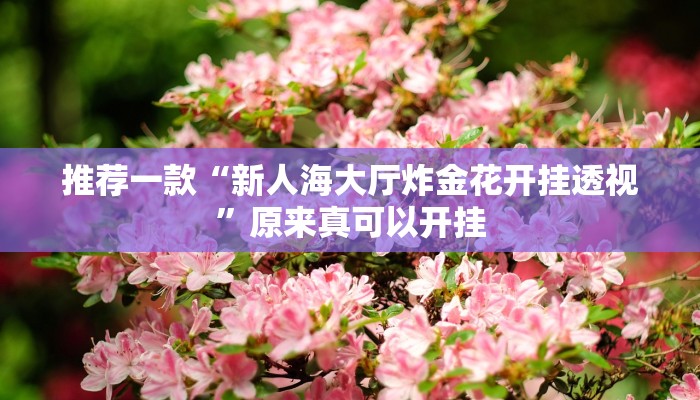 教程辅助!“血拼三张开挂透视辅助”原来真可以开挂