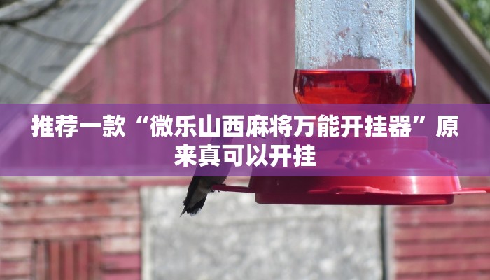 推荐一款“呼包鄂游戏开挂神器”其实确实有挂