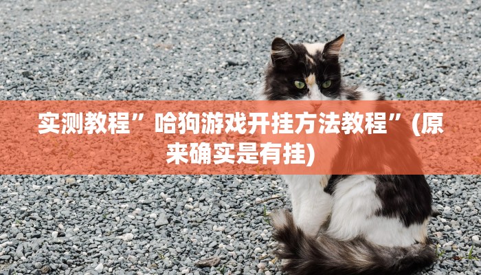 教程辅助!“凯旋二八杠能不能开透视挂”其实确实有挂