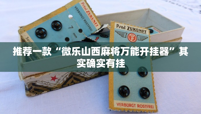 教程辅助!“开心休闲辅助开挂”原来真可以开挂