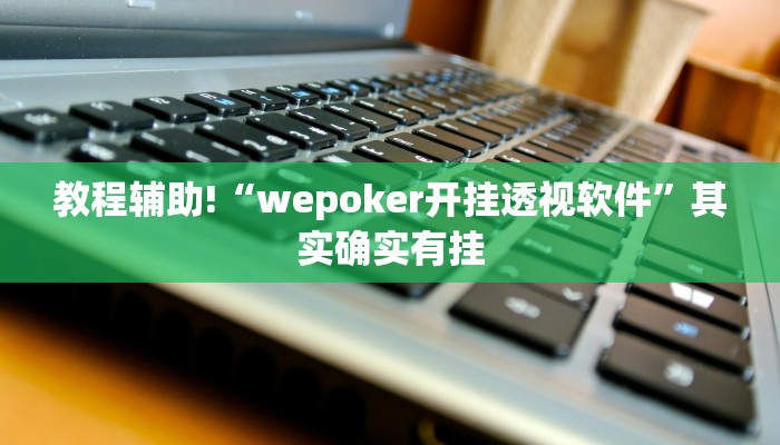 实测教程”Winner怎么开挂”(原来确实是有挂)