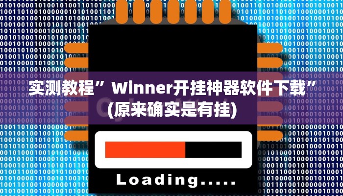 推荐一款“胜奕填大坑透视软件”原来真可以开挂