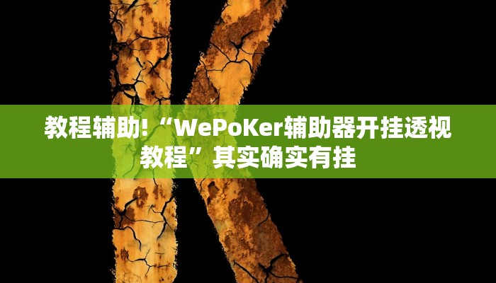 教程辅助!“WePoKer辅助器开挂透视教程”其实确实有挂