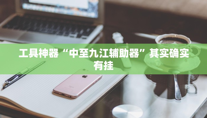 工具神器“中至九江辅助器”其实确实有挂