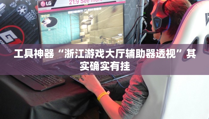 工具神器“浙江游戏大厅辅助器透视”其实确实有挂