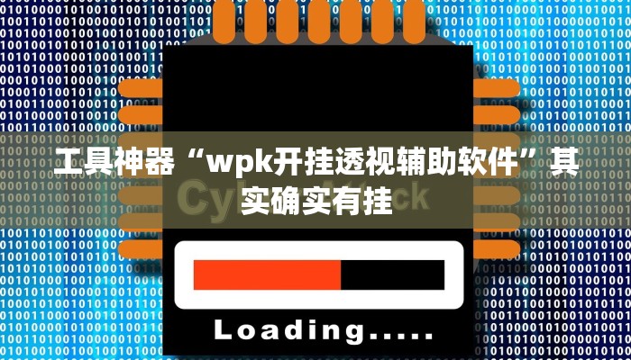 工具神器“wpk开挂透视辅助软件”其实确实有挂