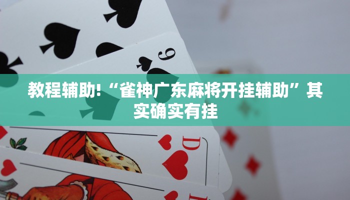 实测教程”玖天乐游辅助怎么开挂”(原来确实是有挂)