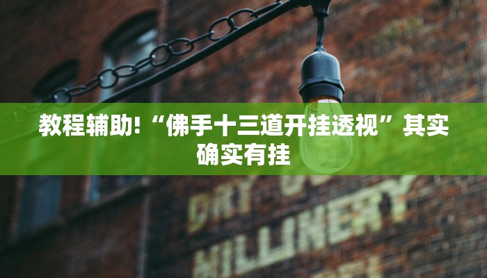教程辅助!“佛手十三道开挂透视”其实确实有挂