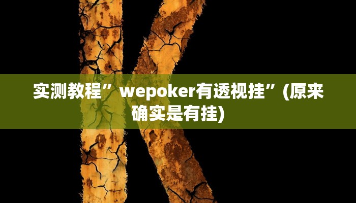 推荐一款“(WePoKer)作弊功能透视教程”原来真可以开挂