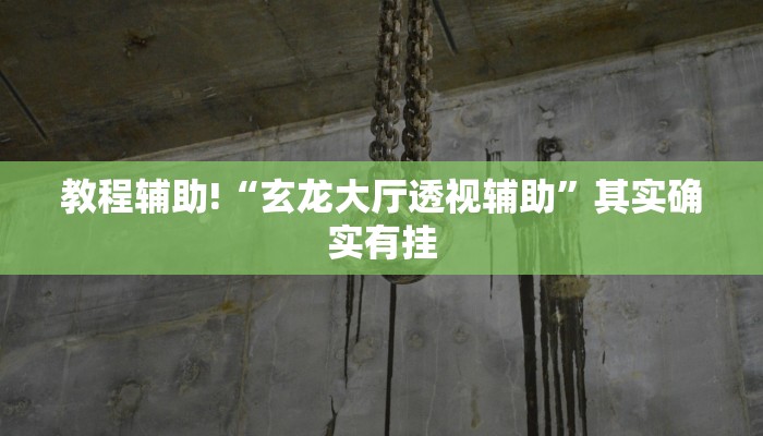 教程辅助!“玄龙大厅透视辅助”其实确实有挂