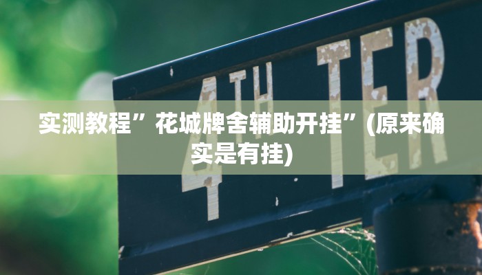 实测教程”花城牌舍辅助开挂”(原来确实是有挂)