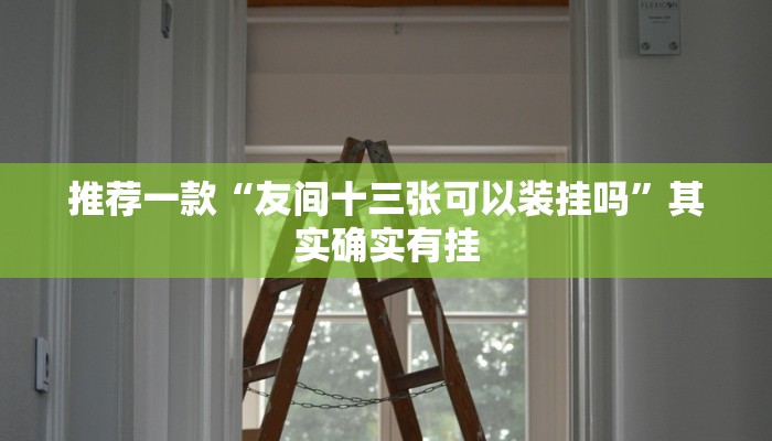 推荐一款“友间十三张可以装挂吗”其实确实有挂