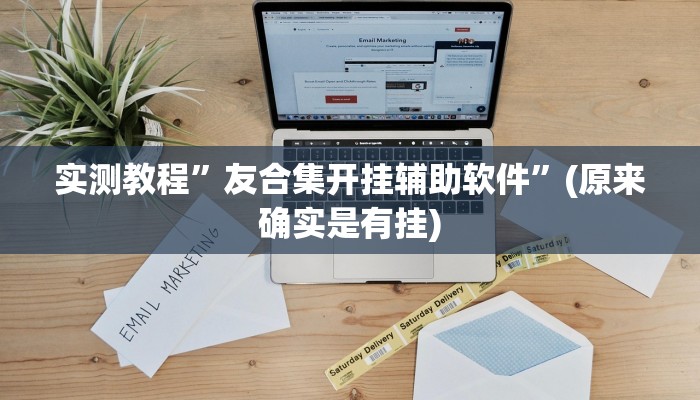 实测教程”友合集开挂辅助软件”(原来确实是有挂)