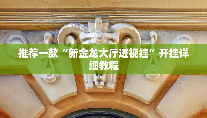 推荐一款“新金龙大厅透视挂”开挂详细教程