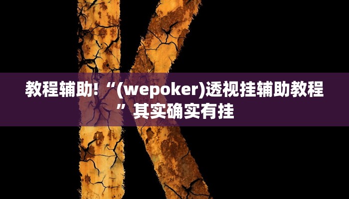 教程辅助!“(wepoker)透视挂辅助教程”其实确实有挂
