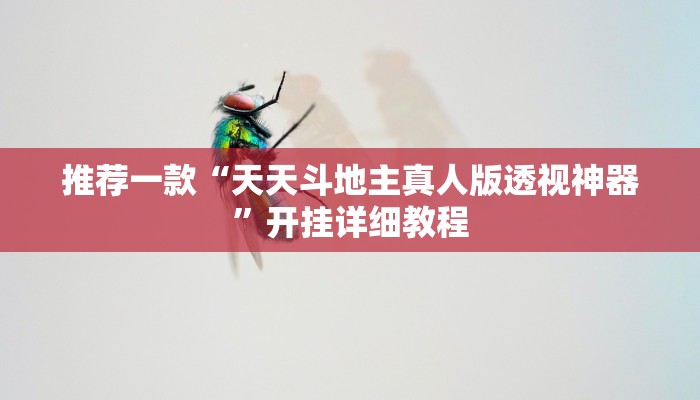 推荐一款“天天斗地主真人版透视神器”开挂详细教程