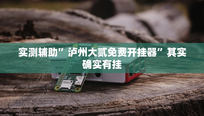 实测辅助”泸州大贰免费开挂器”其实确实有挂