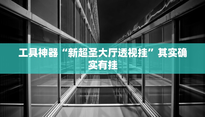 工具神器“新超圣大厅透视挂”其实确实有挂