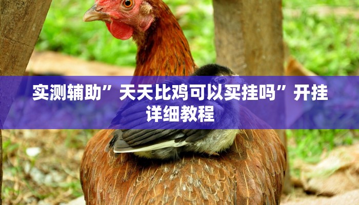 实测辅助”天天比鸡可以买挂吗”开挂详细教程
