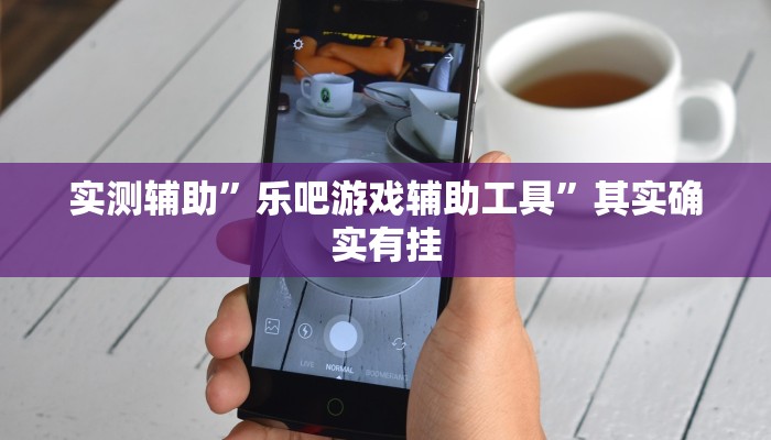 实测辅助”乐吧游戏辅助工具”其实确实有挂