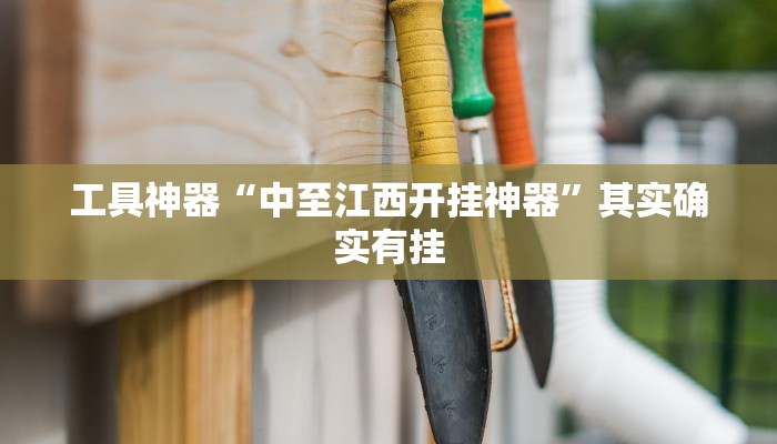 工具神器“中至江西开挂神器”其实确实有挂