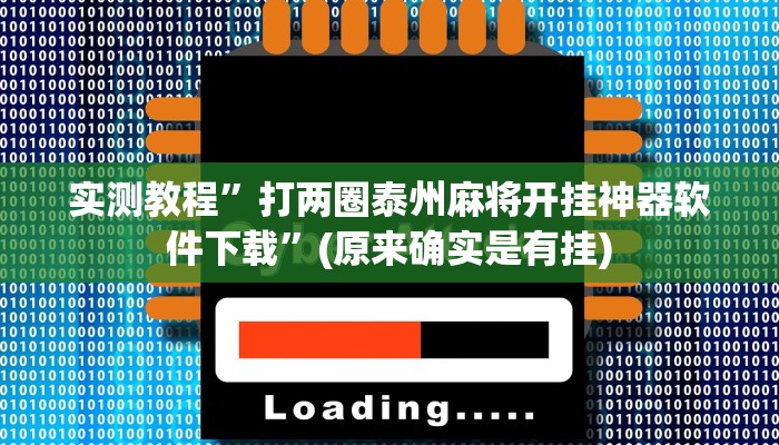 推荐一款“陕麻圈辅助器安装”其实确实有挂