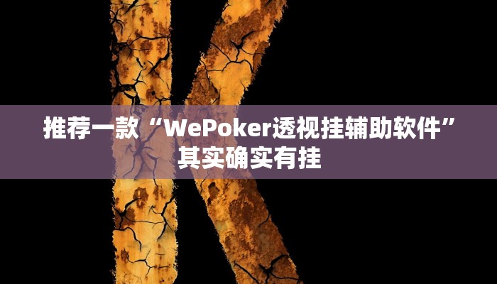 实测辅助”丫丫湖南麻将确实真的有挂”开挂详细教程